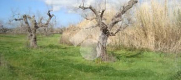 2-salle Maison à Gallipoli, Italy No. 273746 4