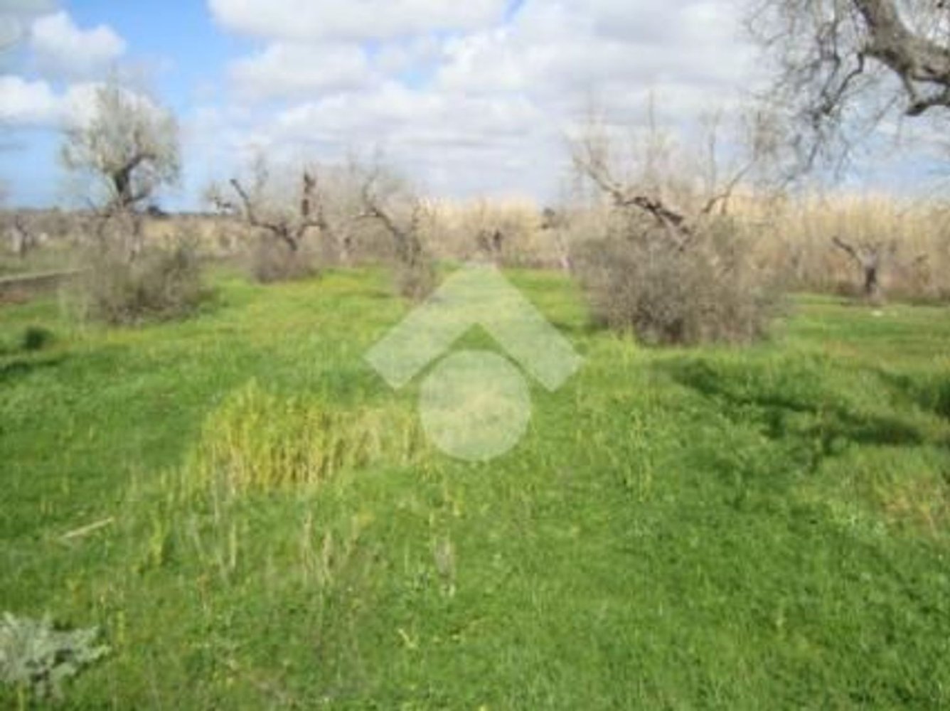 2-salle Maison à Gallipoli, Italy No. 273746