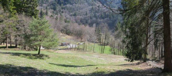 Grundstück in Ledro, Italy 13495m², Nr. 40079 2