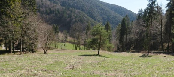 Grundstück in Ledro, Italy 13495m², Nr. 40079 3