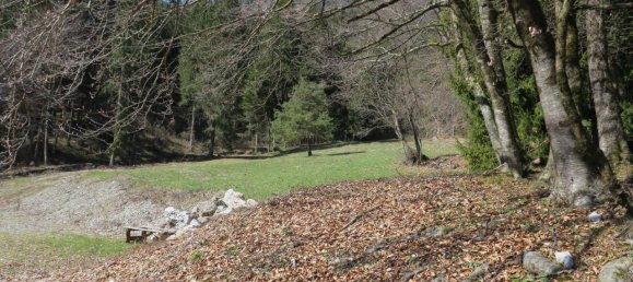 Grundstück in Ledro, Italy 13495m², Nr. 40079 5