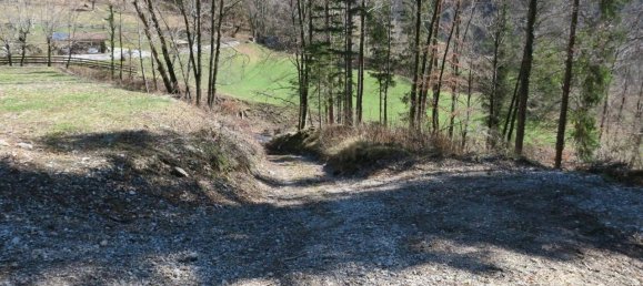 Grundstück in Ledro, Italy 13495m², Nr. 40079 7