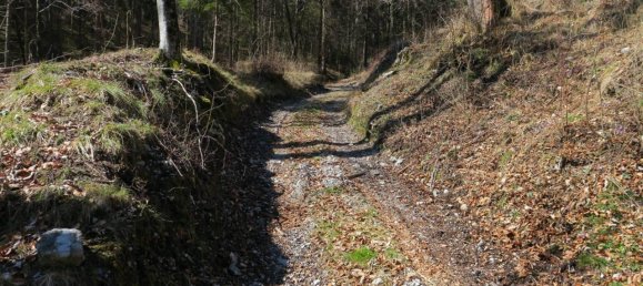 Grundstück in Ledro, Italy 13495m², Nr. 40079 10