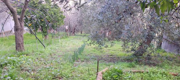 5-Zimmer Doppelhaus in Ortona, Italy, Nr. 43151 32