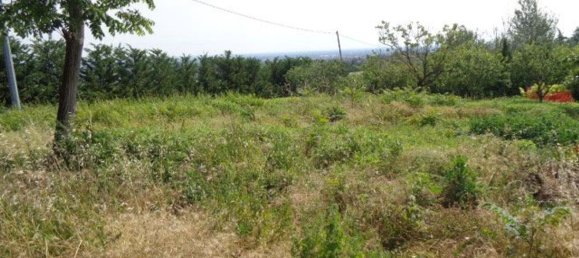 4 rooms House in Ziano Piacentino, Italy No. 148284 15