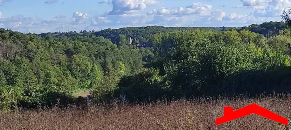 1362m² Land in Paley, France No. 187845 3