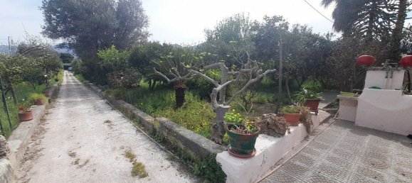 5 rooms Villa in Carini, Italy No. 153055 9