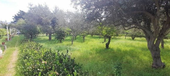 5 rooms Villa in Carini, Italy No. 153055 13