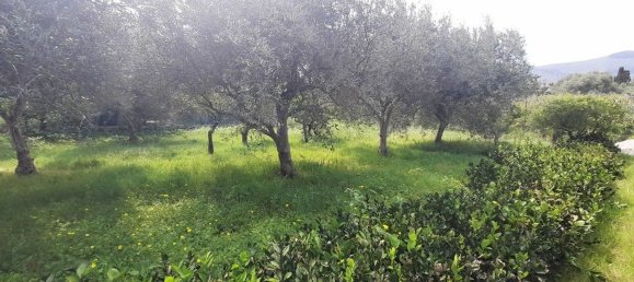 5 rooms Villa in Carini, Italy No. 153055 14