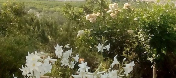 3 Schlafzimmer Haus in Almeria, Spain, Nr. 34630 19