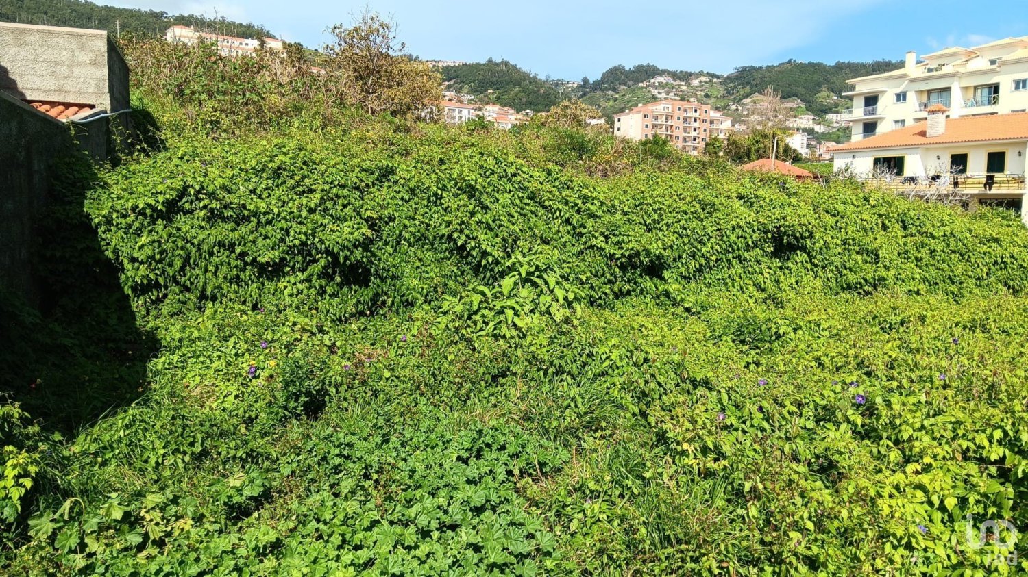  Land in Canico, Portugal No. 95213