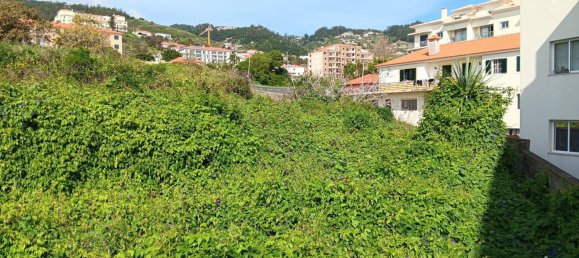  Land in Canico, Portugal No. 95213 5