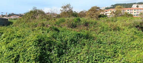  Land in Canico, Portugal No. 95213 6