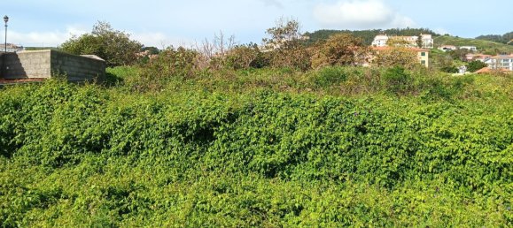  Land in Canico, Portugal No. 95213 4