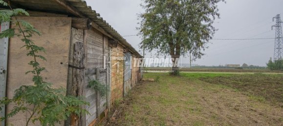 5غرفة منزل في Cesena, Italy رقم 260566 14