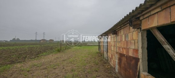 5غرفة منزل في Cesena, Italy رقم 260566 15