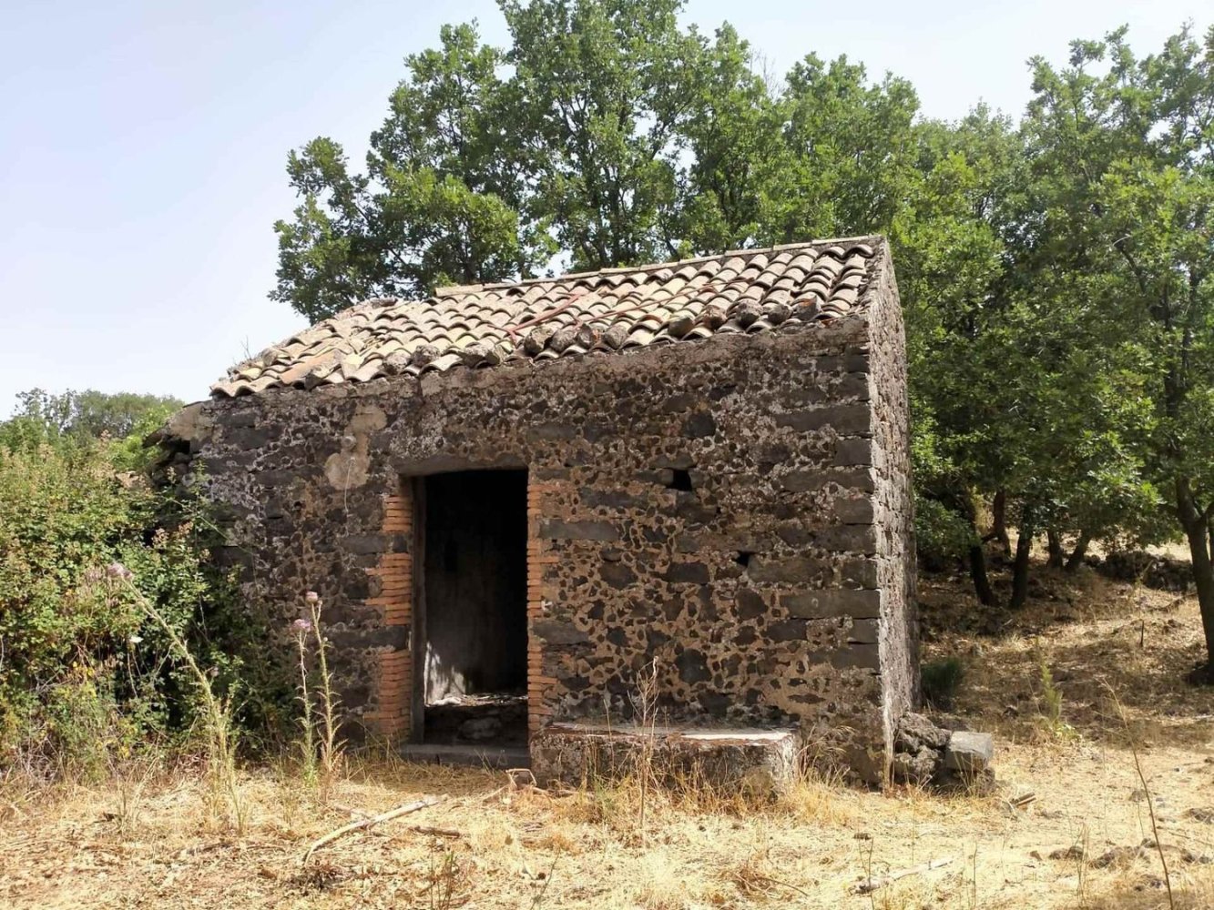 14300m² Land in Santa Maria di Licodia, Italy No. 116144