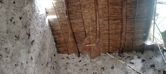 14300m² Land in Santa Maria di Licodia, Italy No. 116144 4