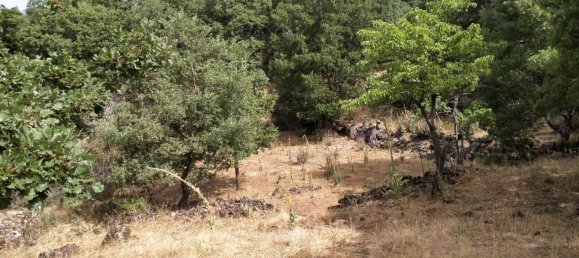 14300m² Land in Santa Maria di Licodia, Italy No. 116144 5