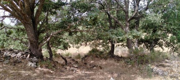 14300m² Land in Santa Maria di Licodia, Italy No. 116144 7