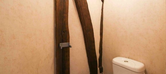 1 chambre Propriété commerciale à Châtillon-Coligny, France No. 252370 16