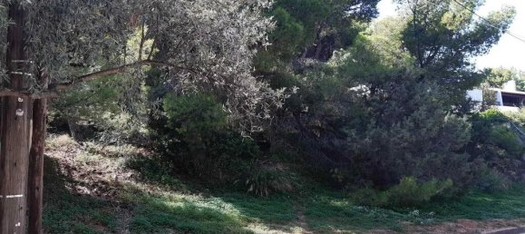  فندق في Markopoulo Mesogaias, Greece 1050متر مربع رقم 2267 4