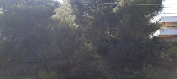  فندق في Markopoulo Mesogaias, Greece 1050متر مربع رقم 2267 5