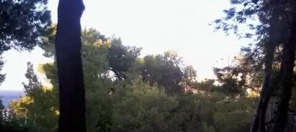  فندق في Markopoulo Mesogaias, Greece 1050متر مربع رقم 2267 3