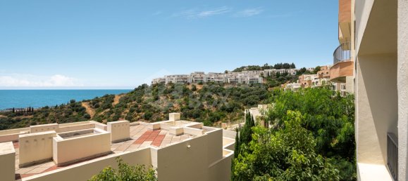 3 bedrooms Apartment in Marbella, Spain No. 175944 29