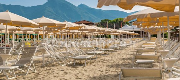 5 rooms Commercial property in Camaiore, Italy No. 232500 3