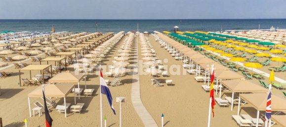 5 rooms Commercial property in Camaiore, Italy No. 232500 47