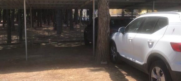 4-Zimmer Penthouse in Cervia, Italy, Nr. 74910 23