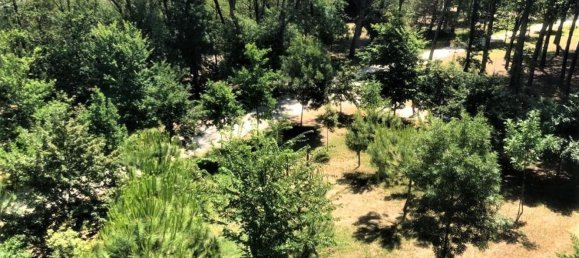 4-Zimmer Penthouse in Cervia, Italy, Nr. 74910 11