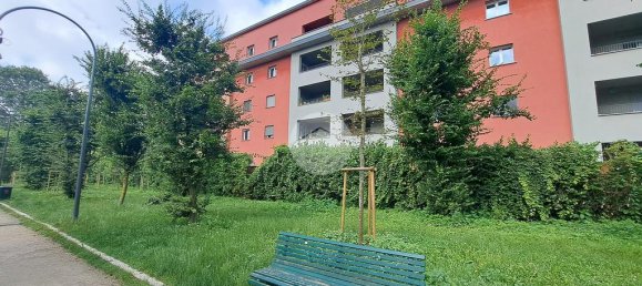 1 chambre Appartement à Milan, Italy No. 305670 15