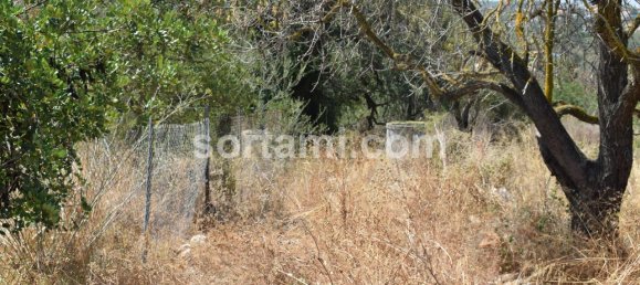 120m² Land in Ferreiras, Portugal No. 120541 14