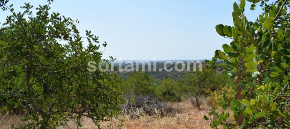 120m² Land in Ferreiras, Portugal No. 120541 12
