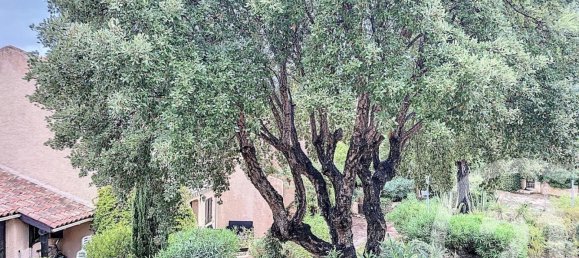 1 chambre Appartement à Lecci, France No. 231272 3