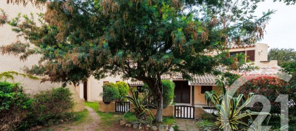 1 chambre Appartement à Lecci, France No. 231272 6