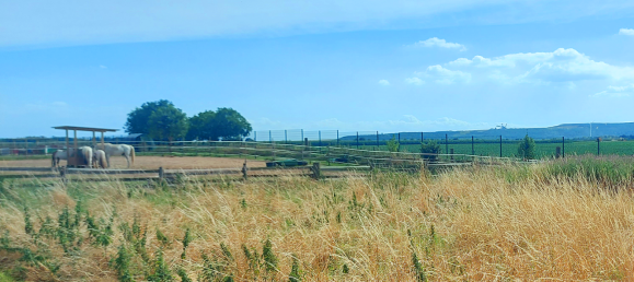  قطعة أرض في Rhein-Erft, Germany رقم 284462 3