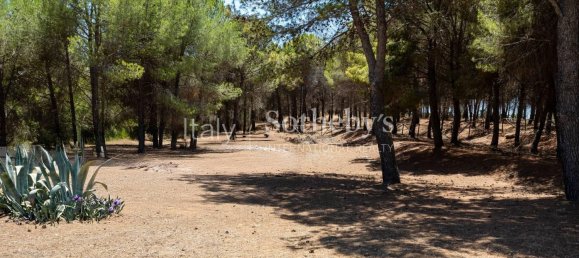 5 Schlafzimmer Villa in Caltagirone, Italy, Nr. 305289 34