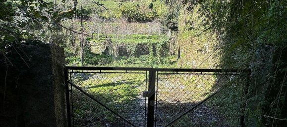 3 غرف نوم منزل في Rio Caldo, Portugal رقم 164960 29