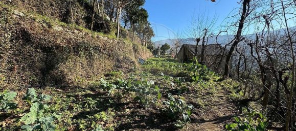 3 غرف نوم منزل في Rio Caldo, Portugal رقم 164960 2