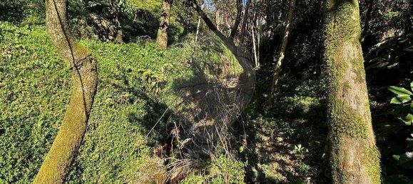 3 غرف نوم منزل في Rio Caldo, Portugal رقم 164960 24