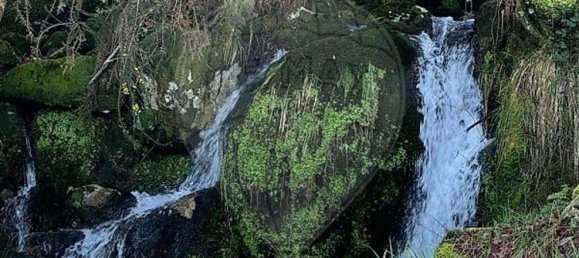 3 غرف نوم منزل في Rio Caldo, Portugal رقم 164960 3