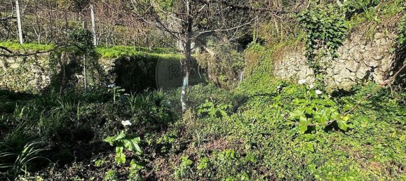 3 غرف نوم منزل في Rio Caldo, Portugal رقم 164960 30