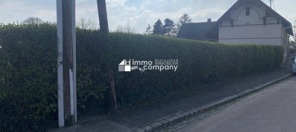  Land in Bockfliess, Austria No. 166091 2