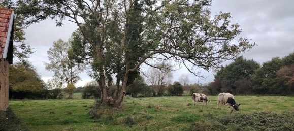 2 غرف نوم منزل في Marchesieux, France رقم 357184 9