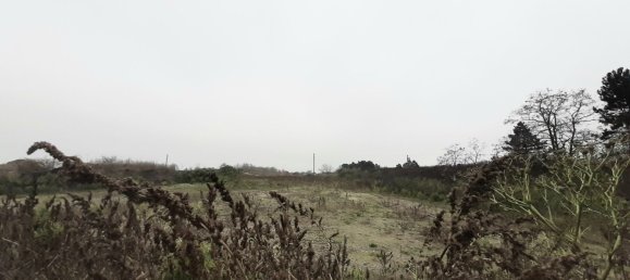  Land in Hagenbrunn, Austria No. 137597 2