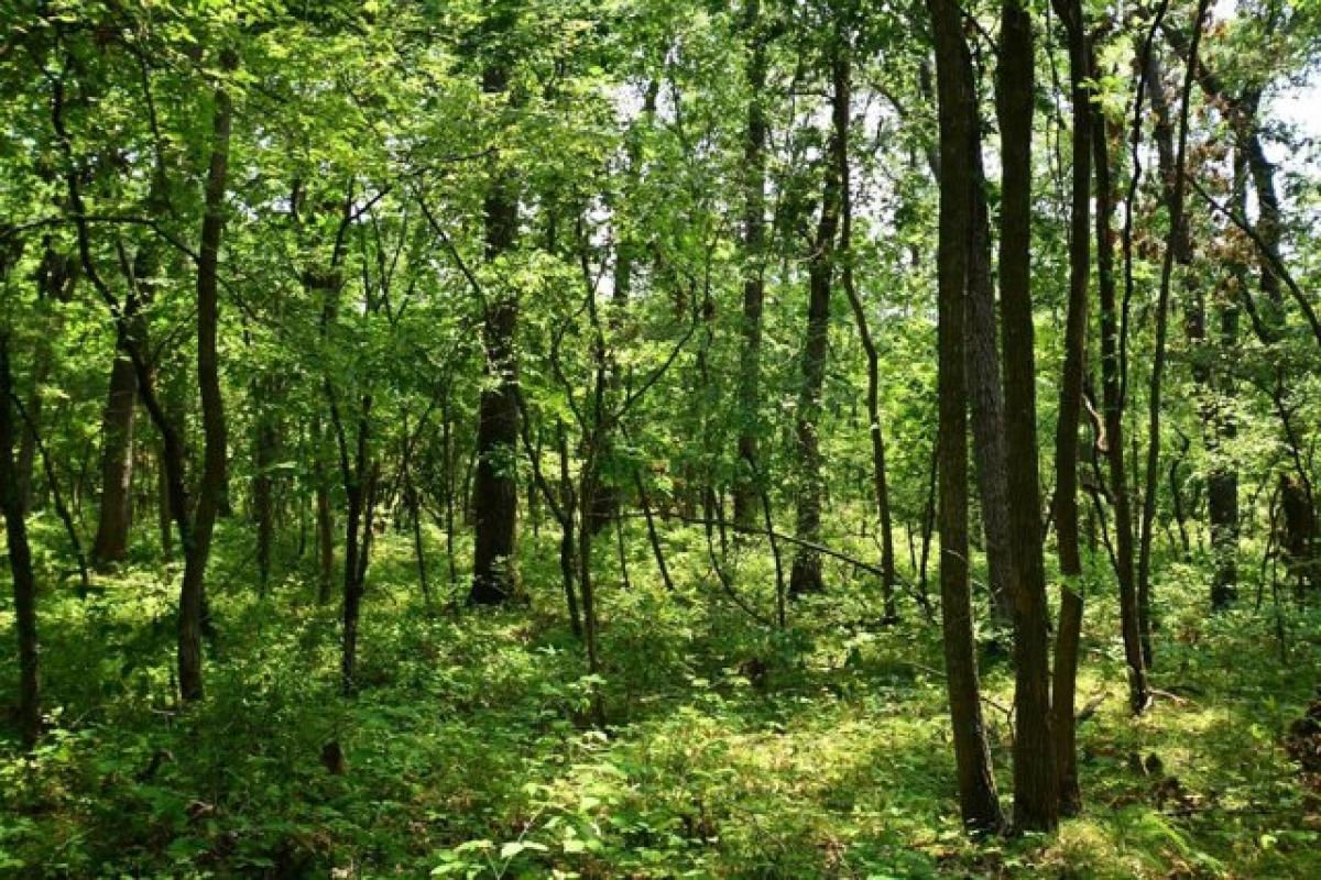  Land in Plymouth, USA No. 487764