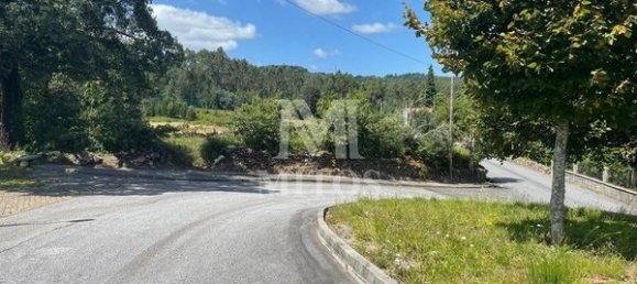 6272m² Land in Viana do Castelo, Portugal No. 88569 2